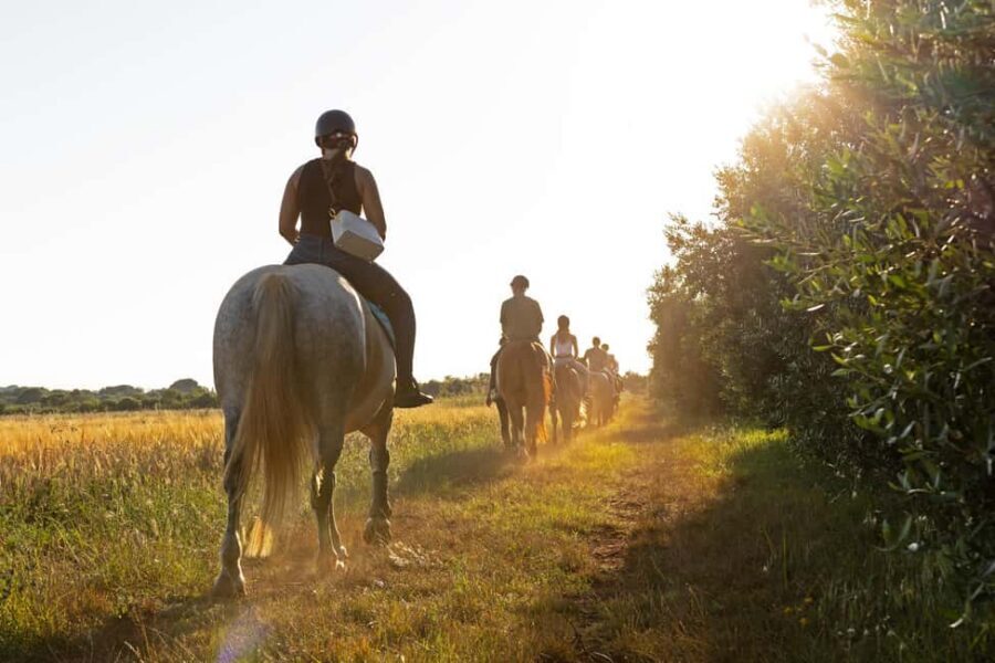 Fazana: Sunset 1-hour Horse Riding in Nature with Guide - Wildflower meadow moments and olive grove views