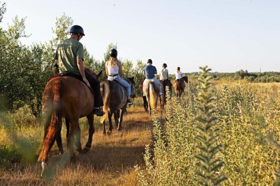 Fazana: Sunset 1-hour Horse Riding in Nature with Guide - What the guide does for first-timers (and returning riders)