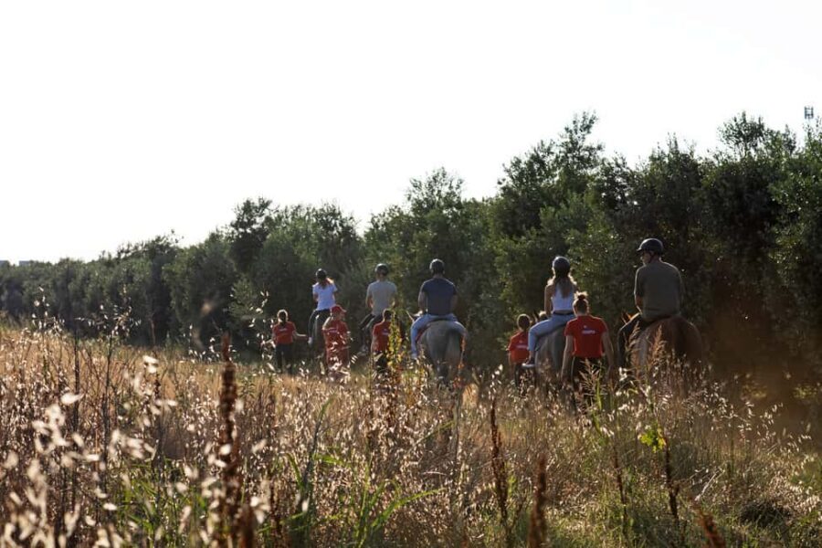Fazana: Sunset 1-hour Horse Riding in Nature with Guide - Who this sunset ride is best for in Istria