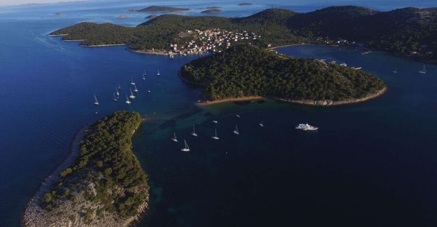 From Biograd: Golden Island of Vrgada Trip with Lunch - Košara dolphin pass: your best shot at an unplanned wildlife moment