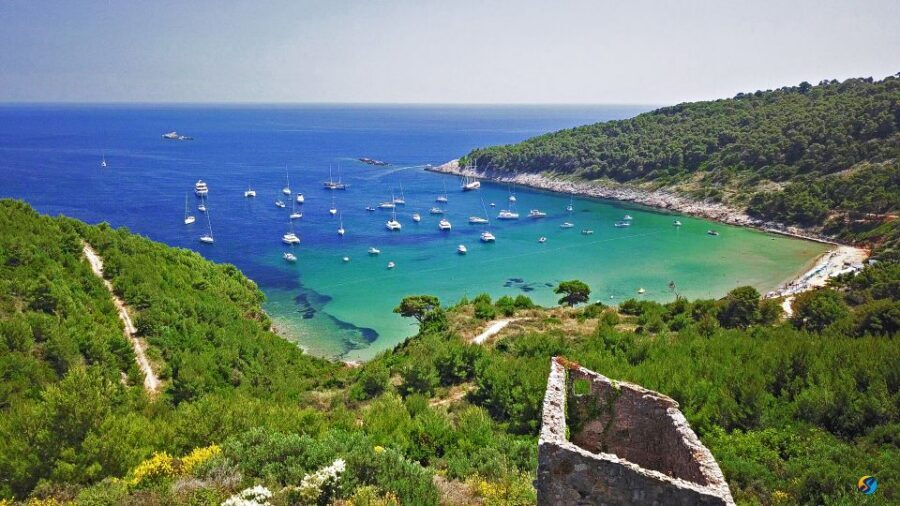 From Dubrovnik: Full-Day Private Boat Tour of Elafiti Island - Koločep and the Blue Cave: Snorkeling That Doesn’t Feel Like a Drive-By