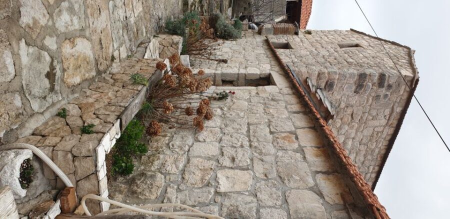 From Dubrovnik: Majkovi Village and Ston Private Food Tour - Price and Value: When $524 Feels Fair for a Full Food Day