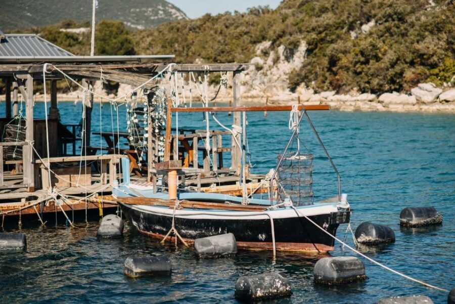 From Dubrovnik: Mali Ston Oyster Paradise Tour with Transfer - Should You Book This Oyster Paradise Tour?