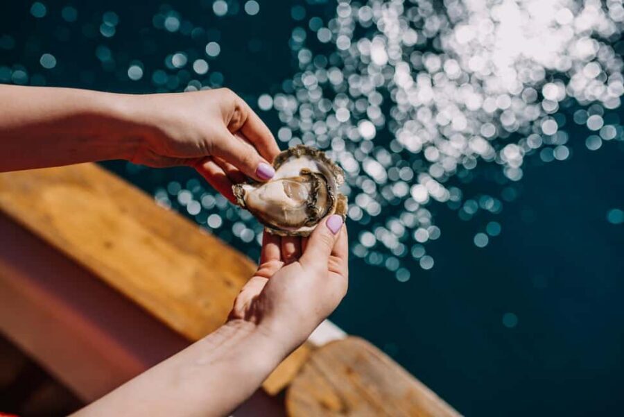 From Dubrovnik: Mali Ston Oysters Farm & Boat Experience - Key Things I’d Mark On Your Map