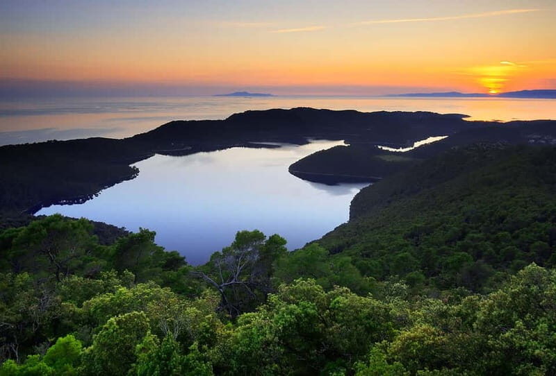From Dubrovnik: Mljet Island Guided Catamaran Day Tour - St. Mary’s Island and the Church Visit
