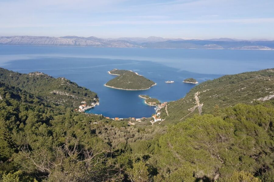 From Dubrovnik: Pvt Speedboat Cruise to Mljet&Sipanska Luka - North Elaphiti + South Mljet: why this route is so satisfying from Dubrovnik