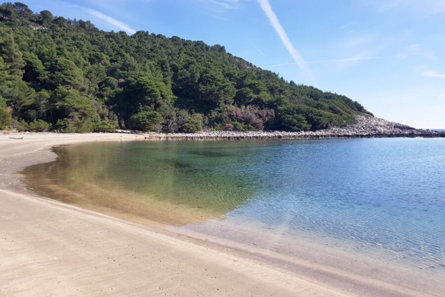 From Dubrovnik: Pvt Speedboat Cruise to Mljet&Sipanska Luka - Mljet: Prozurska Luka and Limuni Beach time, plus the snorkel-friendly rhythm
