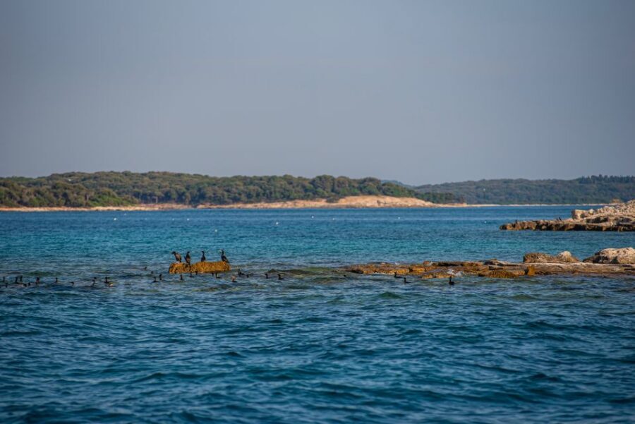 From Fažana: Private boat tour of Brijuni Islands - Timing and weather: why the 90 minutes can stretch
