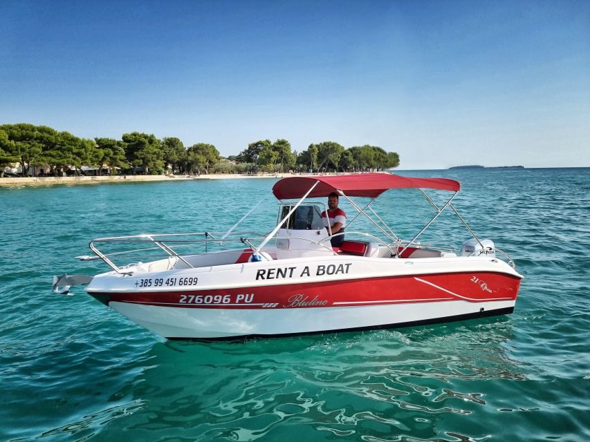 From Fazana: Private sunset dolphin tour - Who should book this sunset dolphin tour (and who might rethink)