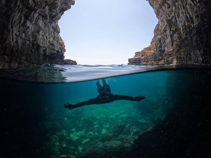 From Fažana: snorkeling at sea cave and Brijuni Island - Key points before you go