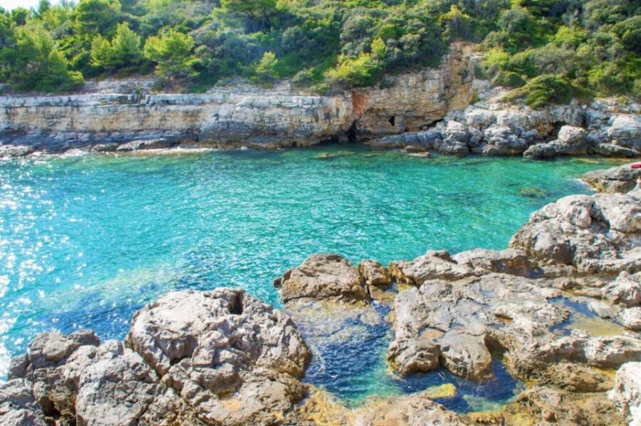 From Fažana: snorkeling at sea cave and Brijuni Island - Guide Matters: English, Attention, and Adaptation