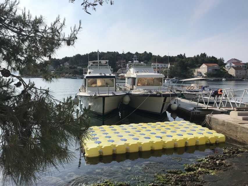 From Korcula island: Mljet Island Yacht Day Trip with Lunch - Price and value: what $353 per person is actually covering