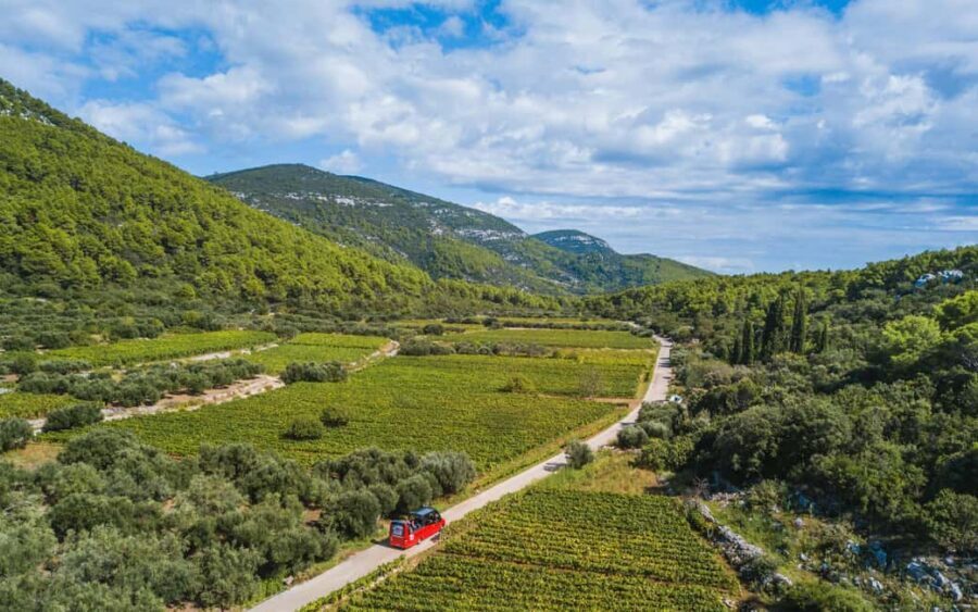 From Korcula Town: Local Wine & Sightseeing Half-Day Tour - Why this half-day tour works so well in Korčula
