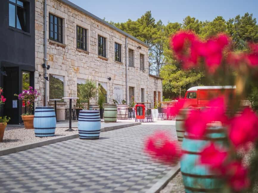 From Korcula Town: Local Wine & Sightseeing Half-Day Tour - The vineyard sightseeing: a short look at where grapes actually fit