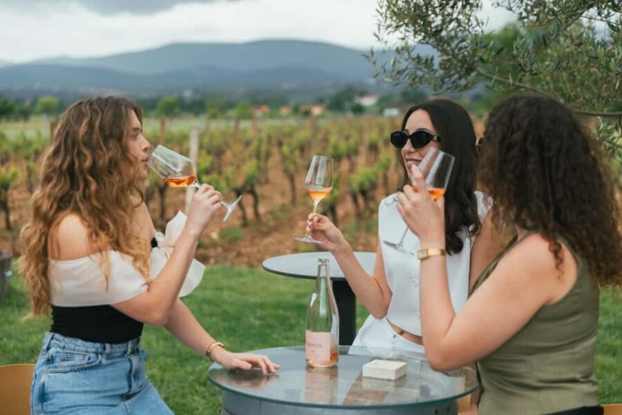 From Makarska Riviera : Wine Tasting Grabovac Tour - Key things to know before you go