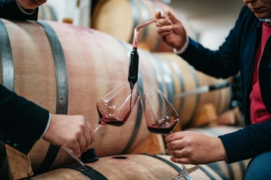 From Makarska Riviera : Wine Tasting Grabovac Tour - Price value: is $79 worth it for what you get?