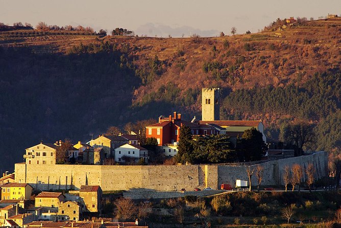 From Pula or Medulin: Istria in one day tour - Key highlights before you go