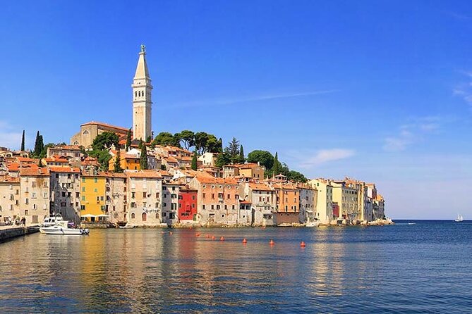 From Rovinj: Istria in one day tour - Price and value: what $119.73 covers and what you may add