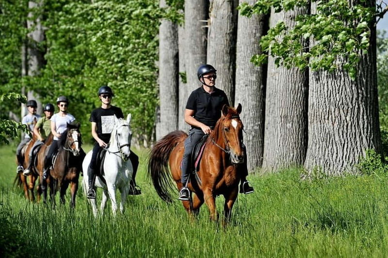 From Split: Full-Day Horse Riding & Quad Biking with Lunch - Price and value: why $294 can make sense here