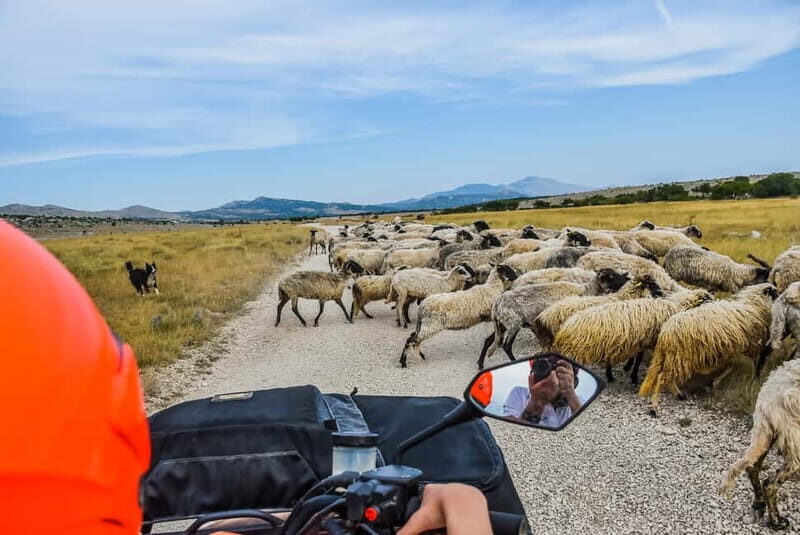 From Split: Full-Day Horse Riding & Quad Biking with Lunch - Horse riding in Ogorje with certified guidance