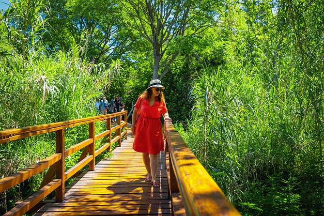 From Split: Krka Waterfalls Tour - Guides and Drivers: What Makes the Day Feel Easy