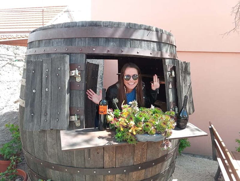 From Split: Krka Waterfalls with Wine & Cheese Tasting Tour - Key things that make this tour work