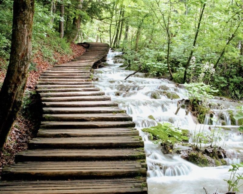 From Split or Trogir: Plitvice Lakes Guided Tour - Price vs. value: what you’re really paying for