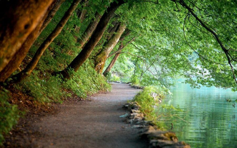 From Split or Trogir: Plitvice Lakes Guided Tour - Getting to Plitvice: what the timing feels like