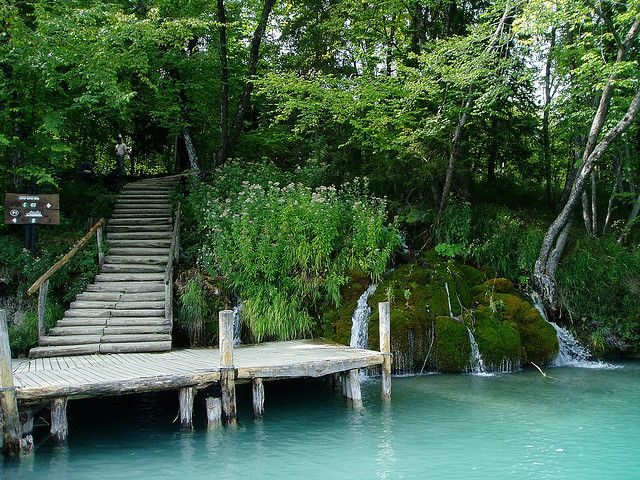 From Split or Trogir: Plitvice Lakes Private Tour - Vila Velebita Stop: Break Time and Lunch Without Losing Your Focus