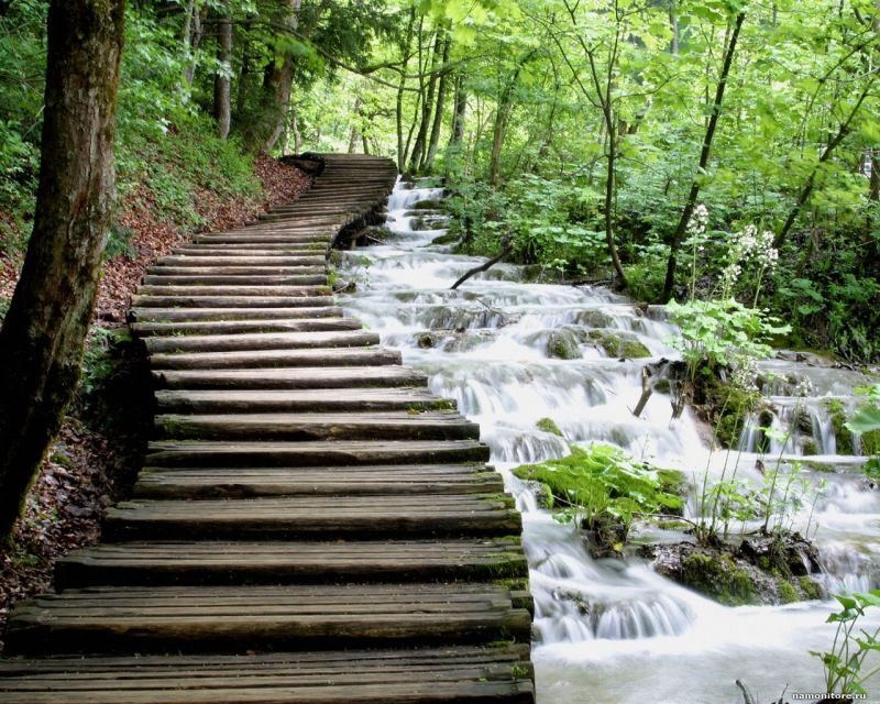 From Split or Trogir: Plitvice Lakes Private Tour - Price and Value at $559 Per Person: What You’re Paying For (and What You’re Not)
