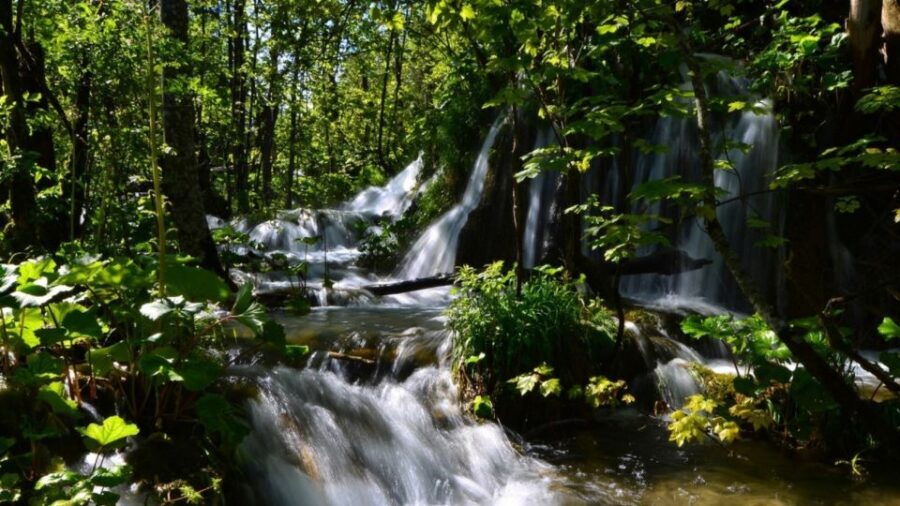 From Split or Trogir: Plitvice Lakes Trip with Entry Ticket - Plitvice Lakes: Why This Day Trip Still Feels Like a Win