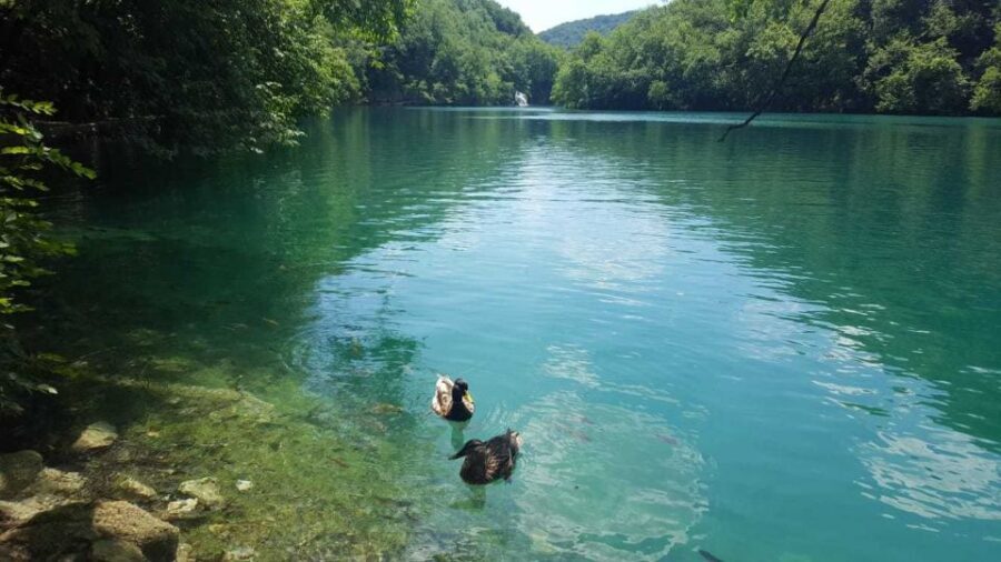 From Split or Trogir: Plitvice Lakes Trip with Entry Ticket - Prošćansko Lake and the Return Train: Less Walking, More Satisfaction