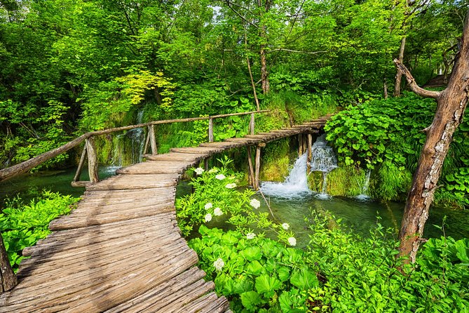 From Split to Zagreb: Plitvice Lakes Private Guided Tour - Why the Private One-Way Transfer Works Better Than DIY