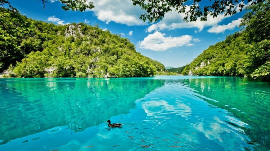 From Split: Transfer to Zagreb with Stop at Plitvice Lakes - Boat ride or panoramic train: how you move around Plitvice
