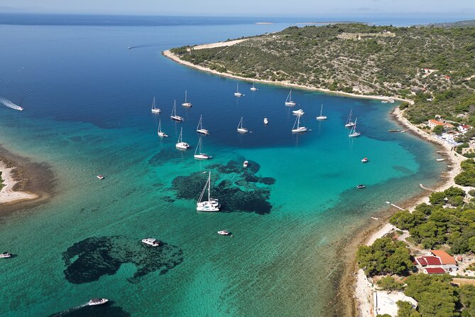 From Trogir & Split: Half Day Speedboat Tour with Blue Lagoon - Morning vs afternoon: which one should you choose?
