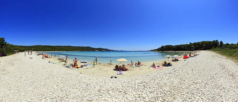 From Vir: Full-Day Guided Trip to Sakarun Beach - Dugi Otok in Soline: the tourist train transfer that keeps you moving