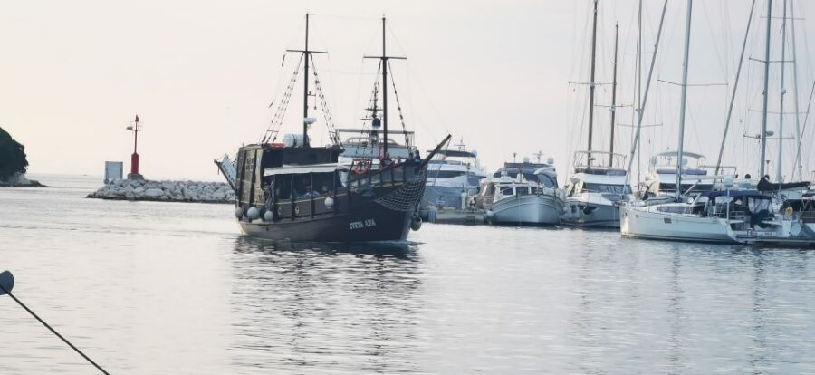 From Vrsar: Boat Trip to Rovinj and Lim Fjord - Who this tour suits best (and who should think twice)