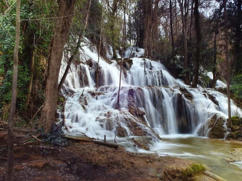 From Zadar: Krka National Park Full-Day Tour from Zadar - Krka National Park From Zadar: The appeal of a structured waterfall day