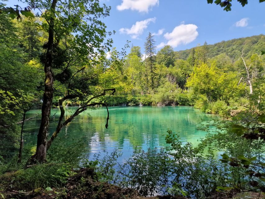 From Zadar: Krka Waterfalls Tour with Panoramic Boat Ride - The Waterfalls Experience: What Your Time in Krka Is Really For