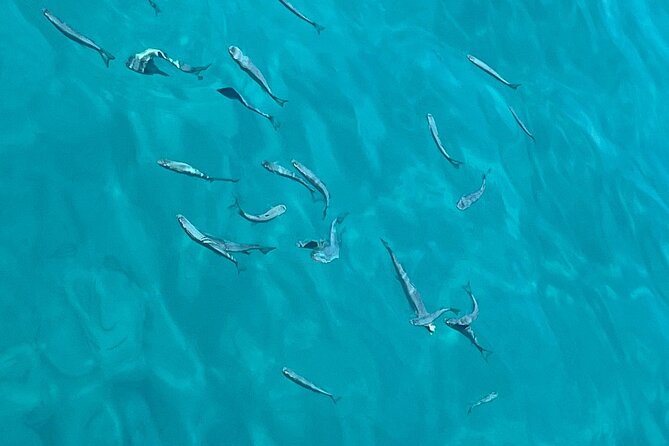 Full Day Boat Tour, Blue Lagoon and Šolta with lunch&drinks - Who should book this and who should rethink it