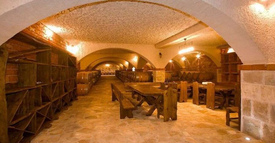 Full-Day Peljesac Wine Tour - Dingac: The One-Hour Vineyard Walk That Makes Tastings Make Sense