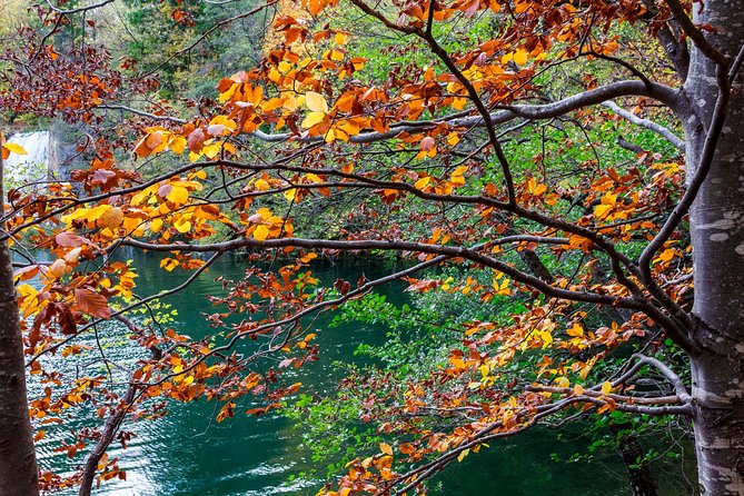 Full-Day Private Plitvice Lakes National Park Tour from Split - Booking Notes You’ll Actually Use
