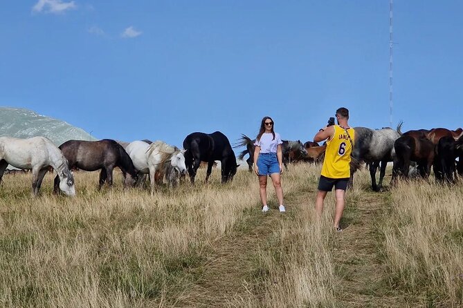 Full-Day Quad and Wild Horses Safari in Livno from Split - Who This Tour Is Best For (And Who Might Want to Skip)