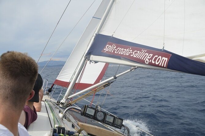 Full-Day Small-Group Dalmatian Coast Sailing Cruise from Split - Cruising the coast: visibility, wildlife chances, and sea time that feels real