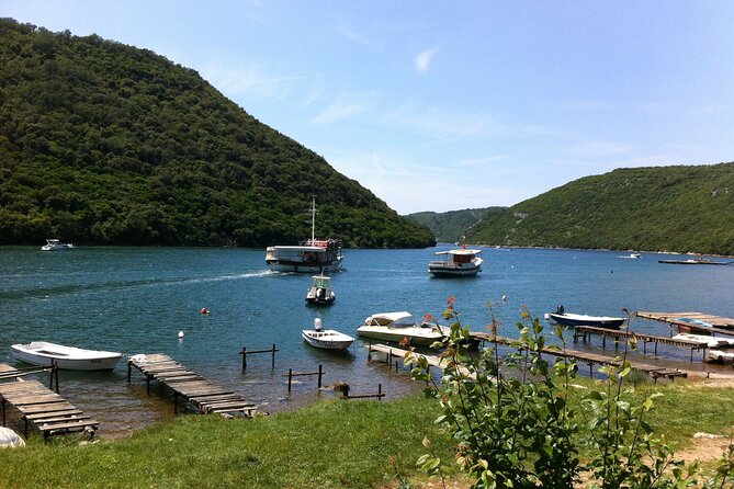Full-Day Small-Group Tour in Istria - Price and value: what $117.48 buys you (and what it doesn’t)