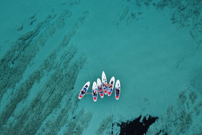 Full-Day Tour in Dugi Otok with Stand-Up Paddle Experience - When This Tour Fits Best (And When It Might Not)