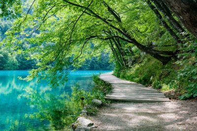 Full-Day Tour of Plitvice Lakes National Park from Zadar - Upper Lakes, Lower Lakes, and the short boat ride that changes everything