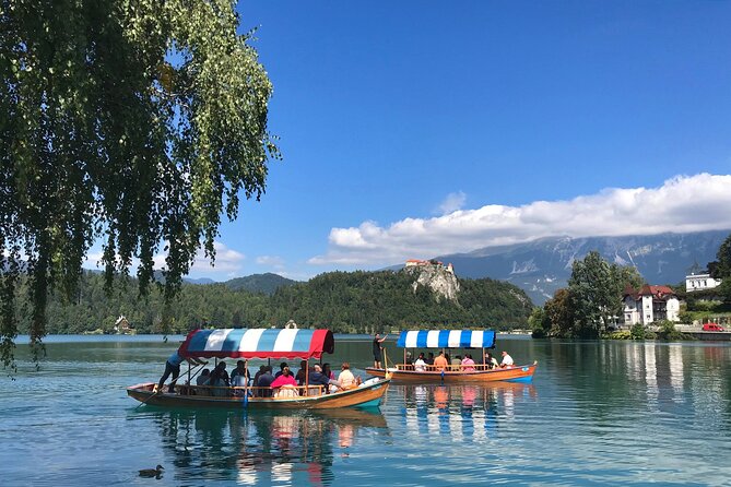 Full-Day trip to Lake Bled - Free time in Bled town: cream cake, horses, and the pacing problem