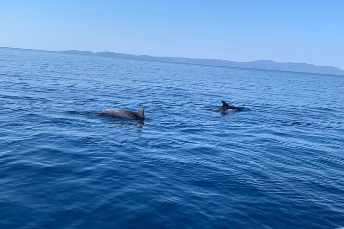 Fully customized private boat trip from Trogir and Split - Stop 2: Solta Island for calmer bays and a slower vibe