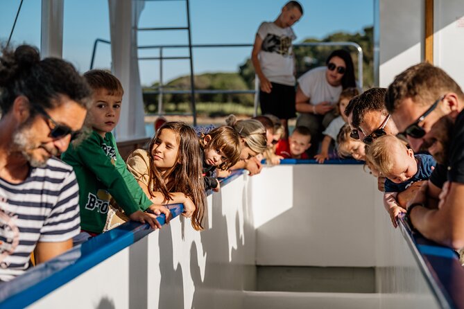 Glass boat tour Fažana with swimming stop - St. Jerolim Stop: The Swimming Window and a Real 2-Hour Break